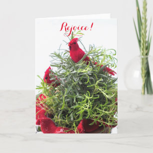 Rejoice Christmas New Years Pandas in Play Holiday Card