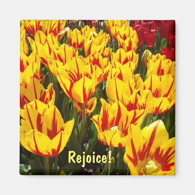 Rejoice magnets Easter Tulips flowers magnet (Front)