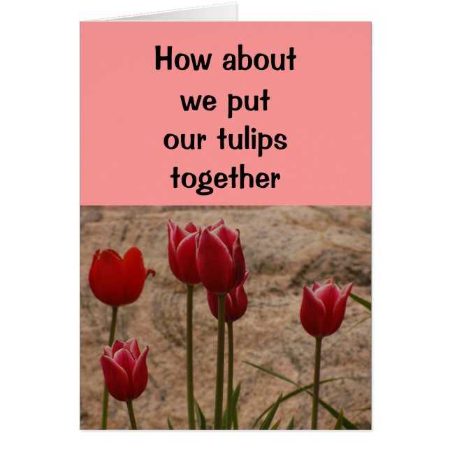 Relation/Rencontre - Et si on mettait nos tulipes (Devant)