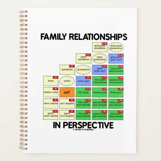 Relations Familiales En Perspective Généalogie (Devant)