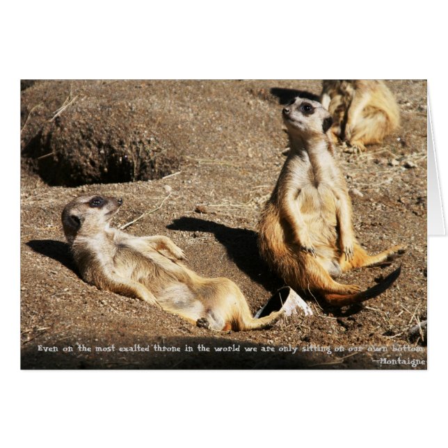 Relax..... (Front Horizontal)