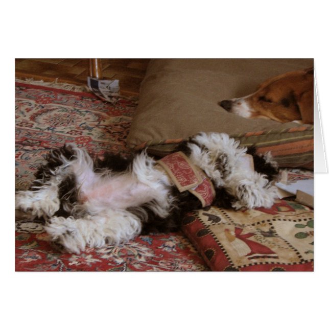 RELAX! (Front Horizontal)