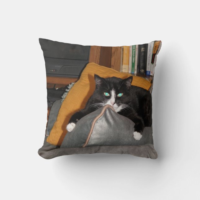 Relax  A Cat Throw Pillow (Front)