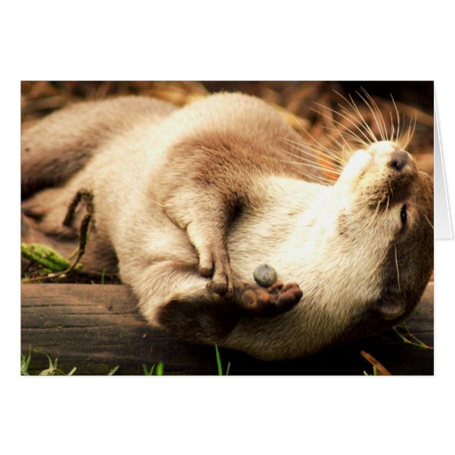 Relax and enjoy! (Front Horizontal)