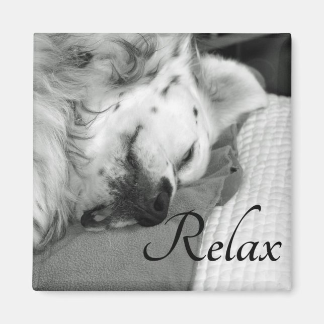 "Relax" Cute Dog Sleeping Square Magnet (Front)