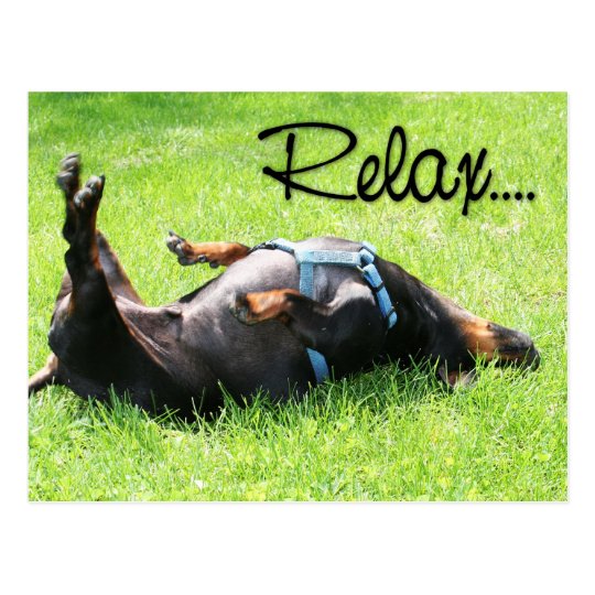 Relax Get Well - Dachshund - Hoover Postcard