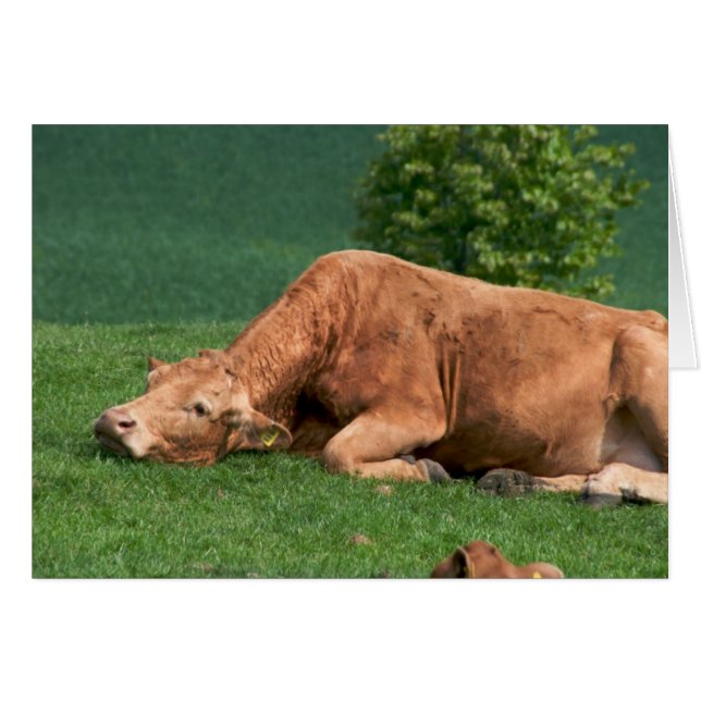 Relax, La vie est trop courte (Devant horizontal)