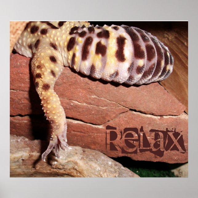 "Relax" Lounging Lizard Leopard Gecko Poster (Front)