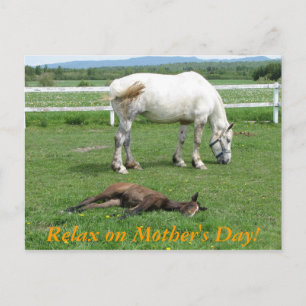 Relax on Mother's Day! Postcard