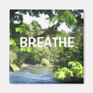 Relaxation Image Magnet