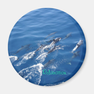 Relaxation Magnet