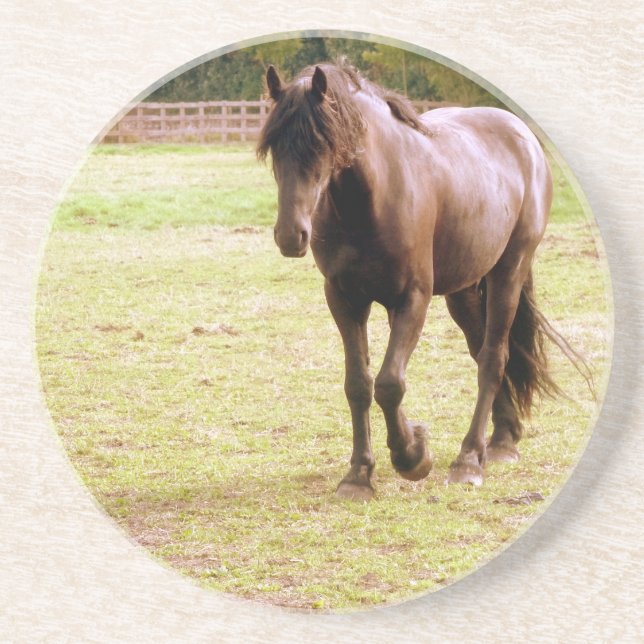 Relaxed Brown Horse Walking Coaster (Front)