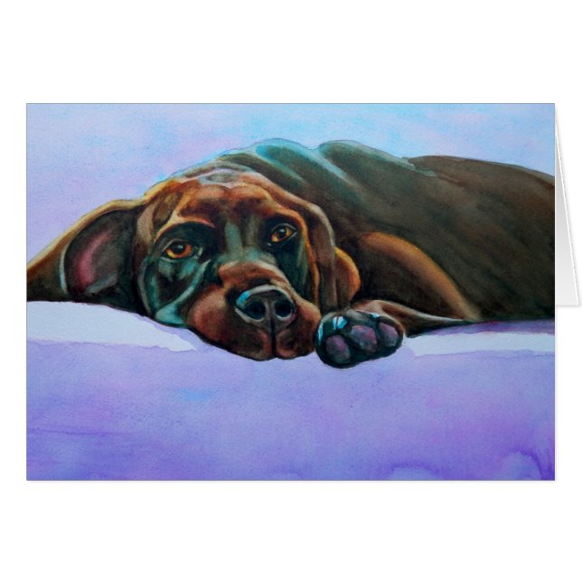Relaxed Chocolate Lab Dog (Front Horizontal)