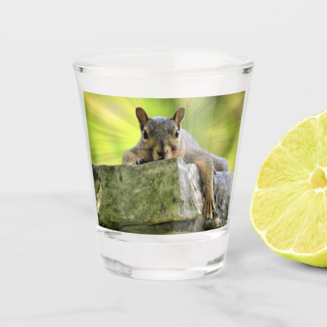 Relaxed Squirrel Shot Glass (Front)