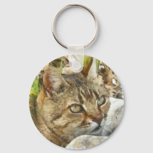 Relaxed Tabby Cat Resting In Garden Pencil Sketch Keychain