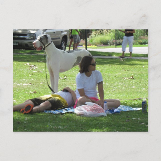 Relaxez-vous avec la carte postale Great Dane (Devant)