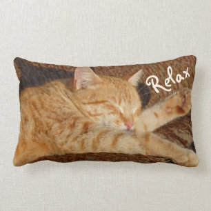 Relaxing Cat Lumbar Pillow