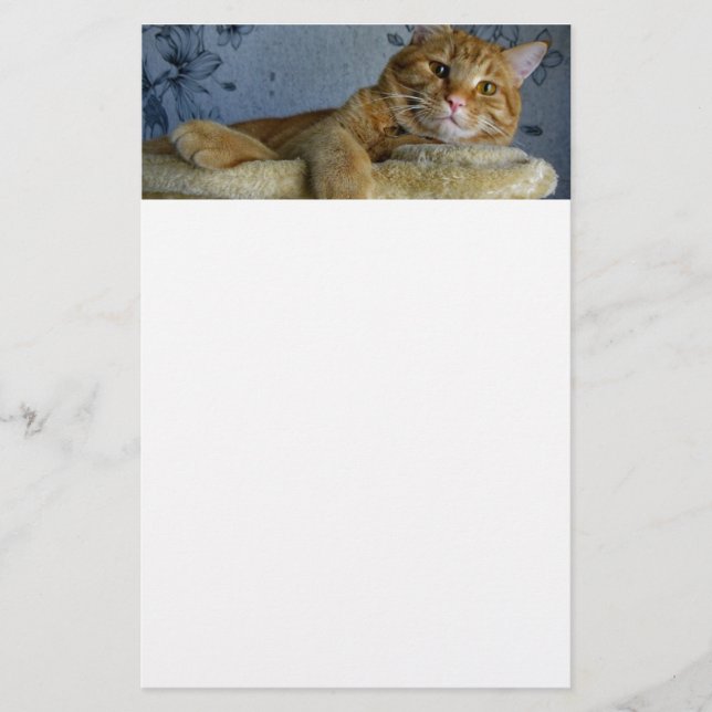 Relaxing Cat Stationery (Front)