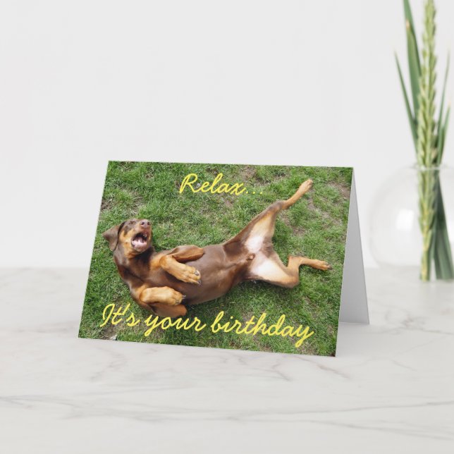 Relaxing doberman dog card (Front)