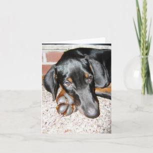 Relaxing Doberman Pinscher Puppy - Blank Note Card