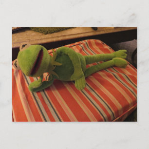 Relaxing Frog Postcard