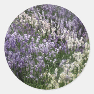 Relaxing Lavender Fields Sticker
