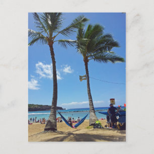 Relaxing on a Hawaii Beach Postcard