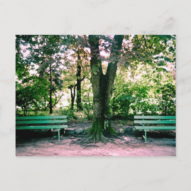 Relaxing postcard (Front)