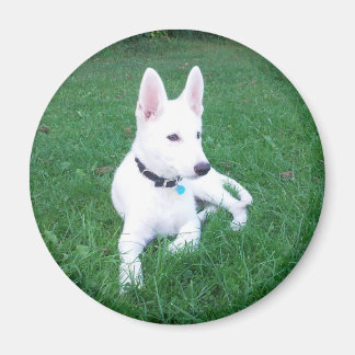 Relaxing Shepherd Magnet