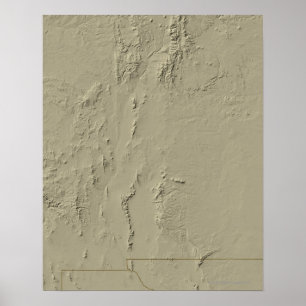 Relief Map of New Mexico Poster