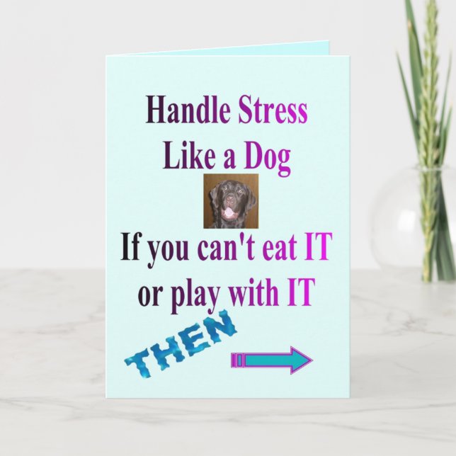 RELIEVER STRESS CARTE DE PLAISANCE (Devant)