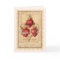 Religious Hearts of Jesus Mary Joseph