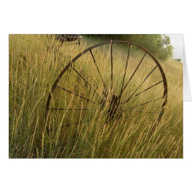 Relique agricole (Devant horizontal)