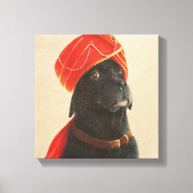Reluctant Maharaja 2010 Canvas Print (Front)