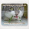 Rema Mousepad 007