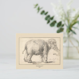 Rembrandt, An elephant, 1637, Fine Art  Postcard