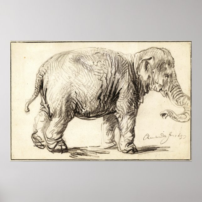 Rembrandt - Elephant 1637 Poster (Front)