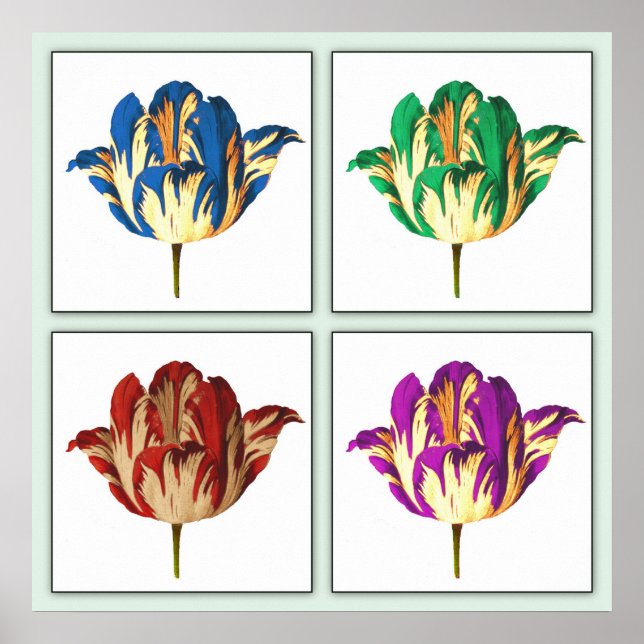 Rembrandt Tulip Pop Art Poster Print (Front)