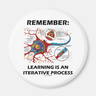 Remember: Learning Is An Iterative Process Synapse Magnet