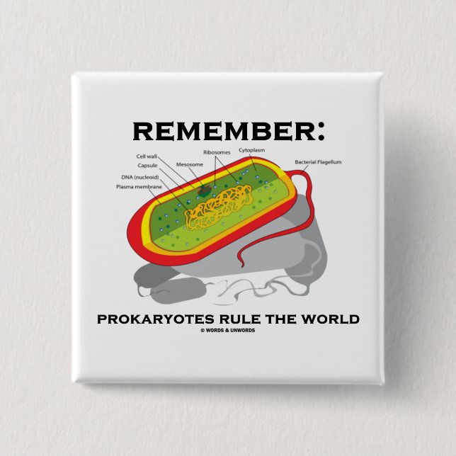 Remember: Prokaryotes Rule The World 2 Inch Square Button (Front)