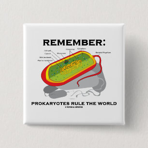 Remember: Prokaryotes Rule The World 2 Inch Square Button