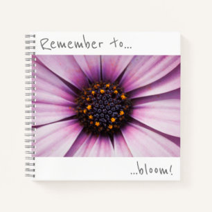 Remember to bloom Osteospermum Flower Notebook