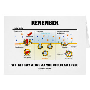 Remember We All Eat Alike At The Cellular Level