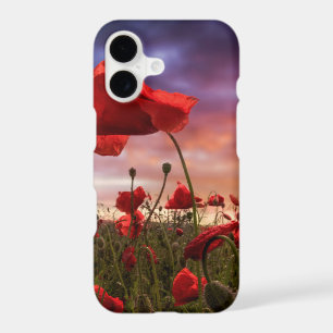 Remembering   Field of Poppies