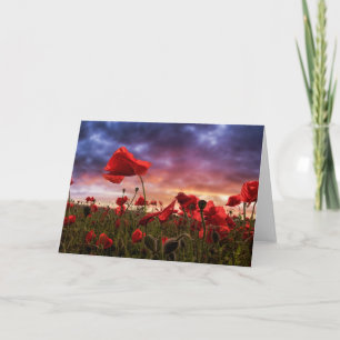 Remembering Field of Poppies Card