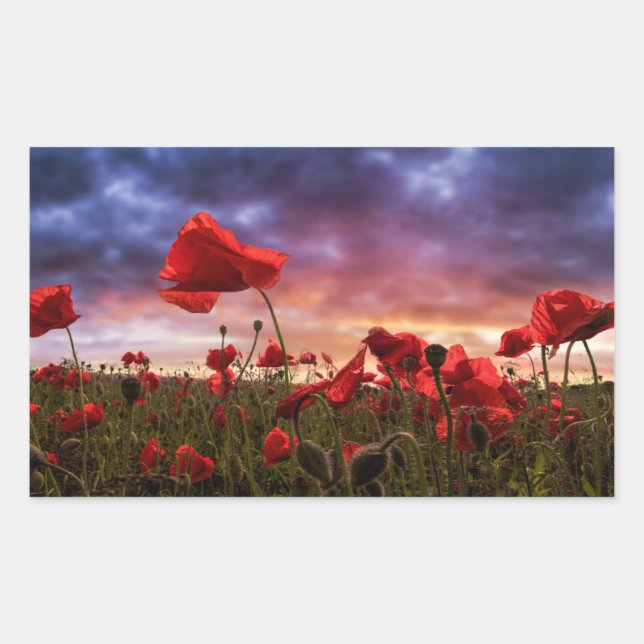 Remembering | Field of Poppies Sticker (Front)