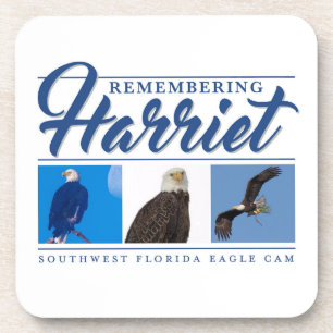 Remembering Harriet SWFL Eagle Cam Coaster Set