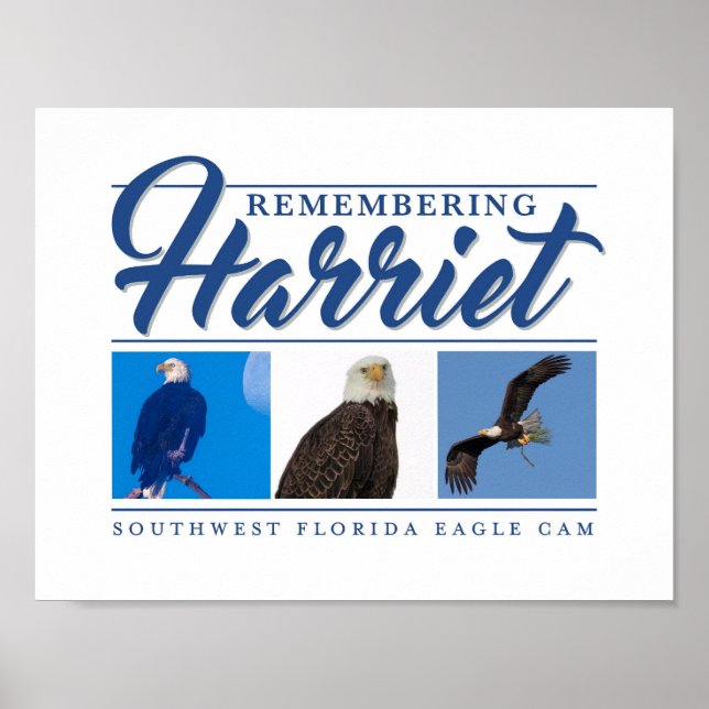 Remembering Harriet SWFL Eagle Cam Wall Poster (Front)