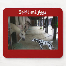 Remembering Spirit and Jiggs Meeting