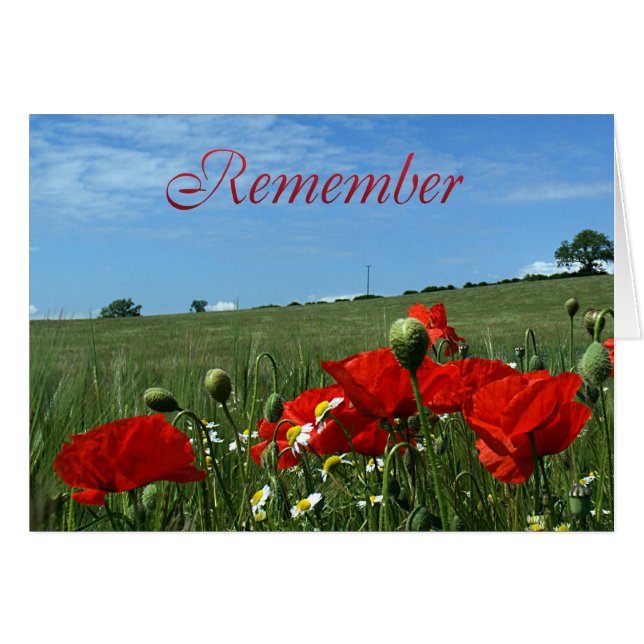 Remembrance Day Poppy Field (Front Horizontal)